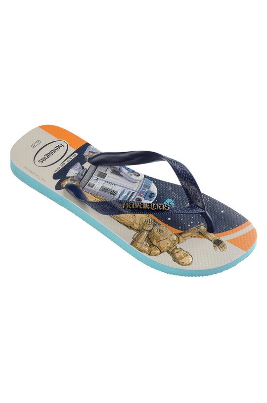 В'єтнамки Havaianas барвистий