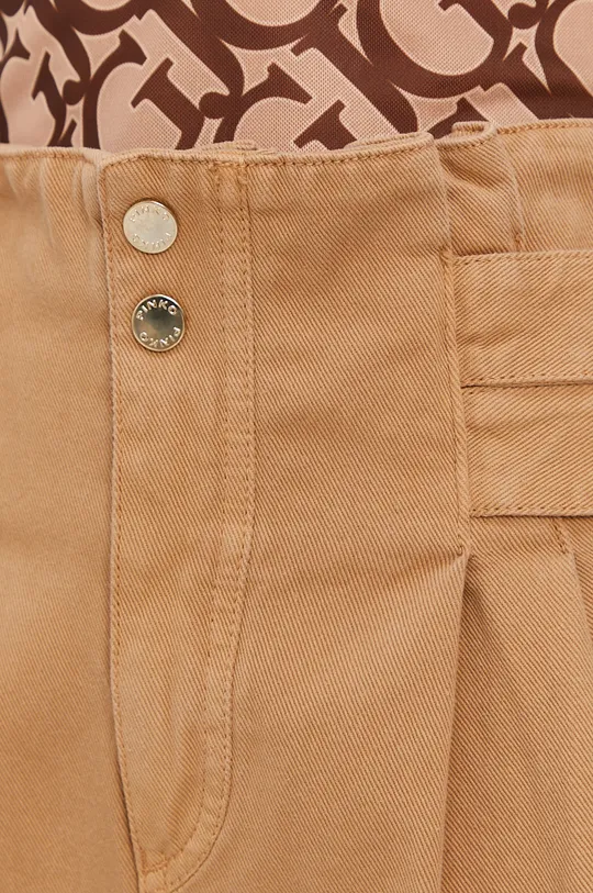 brązowy Pinko Spodnie
