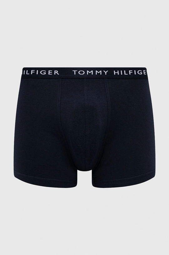 Bokserice Tommy Hilfiger šarena