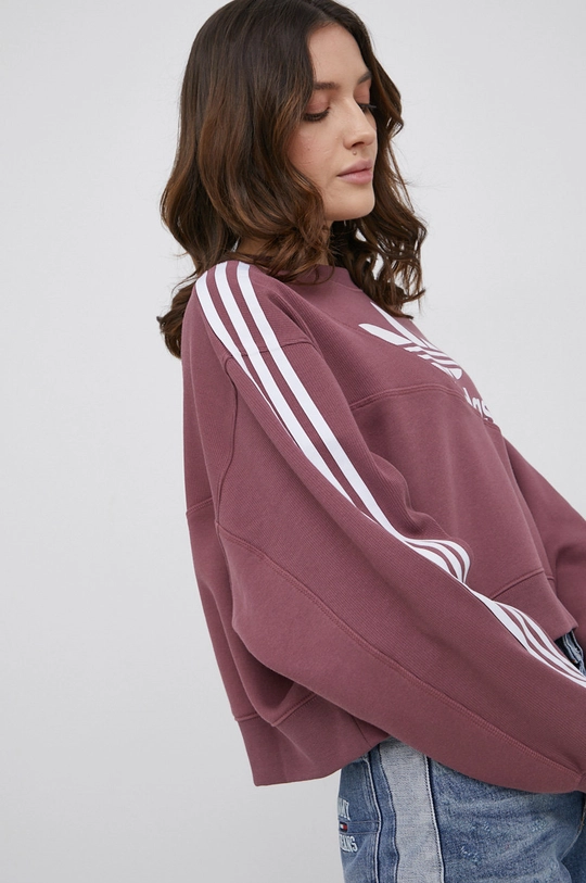 adidas Originals Bluza Adicolor HC4620 Materiał zasadniczy: 70 % Bawełna, 30 % Poliester z recyklingu, Ściągacz: 95 % Bawełna, 5 % Elastan