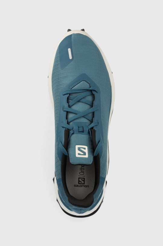 stalowy niebieski Salomon buty Alphacross 3