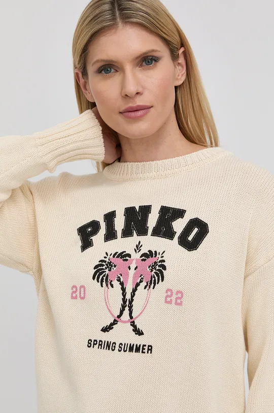 Βαμβακερό πουλόβερ Pinko Γυναικεία