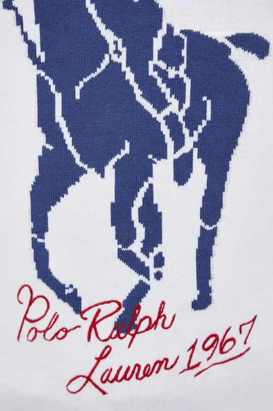 Polo Ralph Lauren - Βαμβακερό πουλόβερ Ανδρικά
