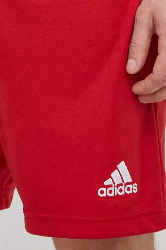 красный Тренировочные шорты adidas Performance Entrada 22 H61735