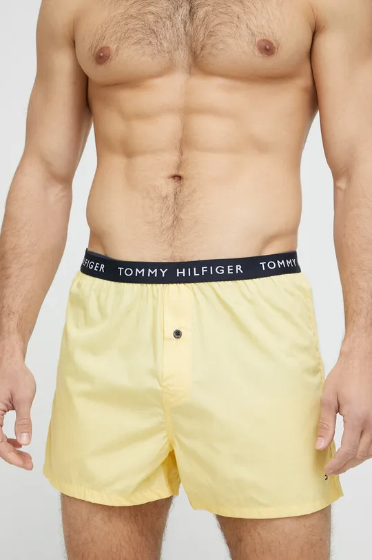 πολύχρωμο Βαμβακερό μποξεράκι Tommy Hilfiger 3-pack Ανδρικά