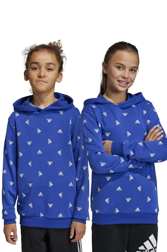 голубой Детская кофта adidas U BLUV HD Для мальчиков