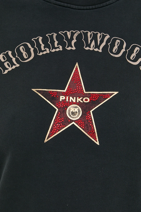 Pinko bluza Damski