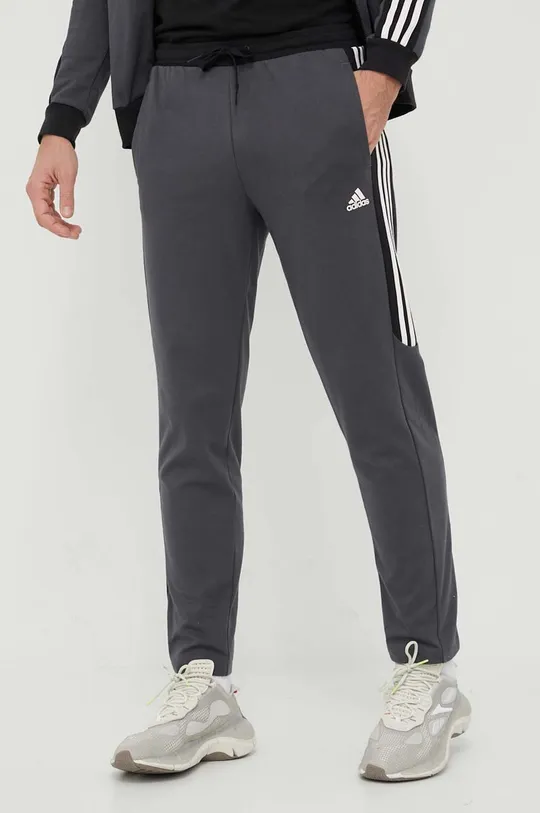 сірий Спортивний костюм adidas