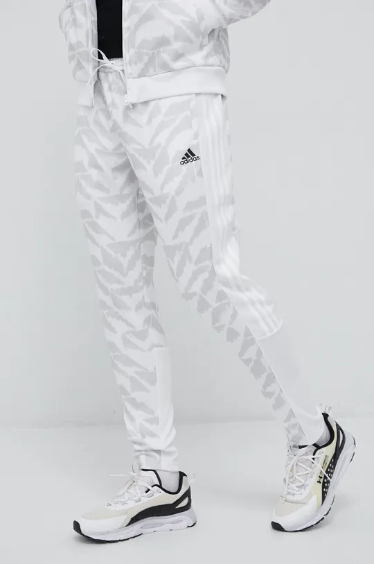 білий Спортивні штани adidas Чоловічий