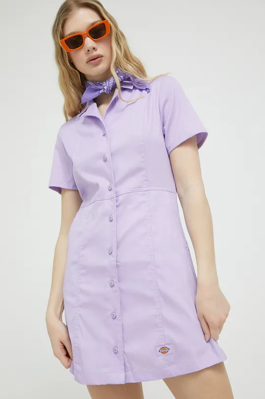 vijolična Obleka Dickies Ženski