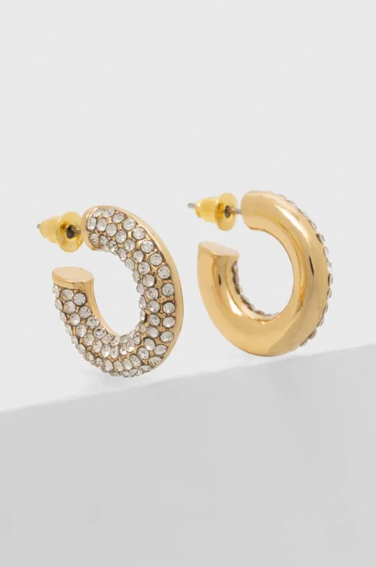 золотий Позолочені сережки Aldo ADWEI Жіночий