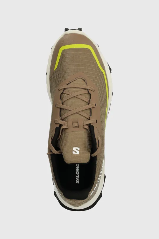 коричневый Ботинки Salomon Alphacross 5