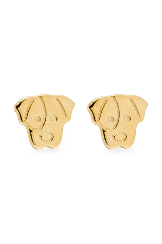 χρυσαφί Ασημένια επιχρυσωμένα σκουλαρίκια ANIA KRUK BELIEVE Γυναικεία
