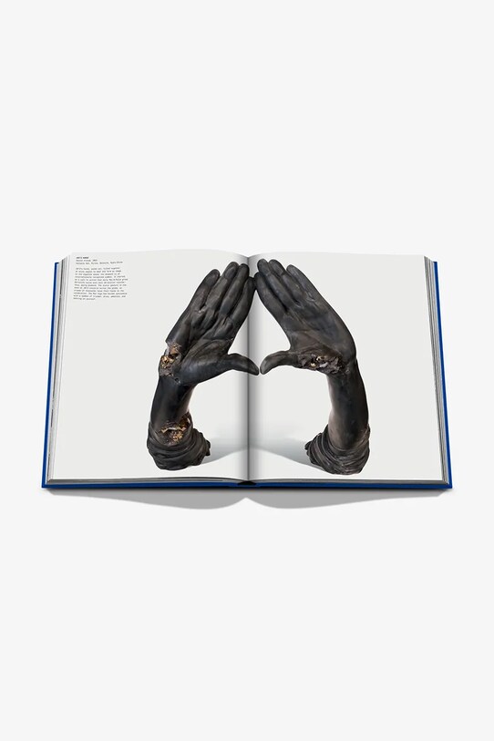 Книга Assouline The Book of Hov: A Tribute to Jay-Z, Collectif, English 9781649804259 барвистий