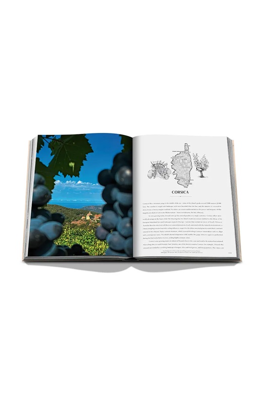 Assouline książka Wine & Travel France by Enrico Bernardo, English 9781649803849
