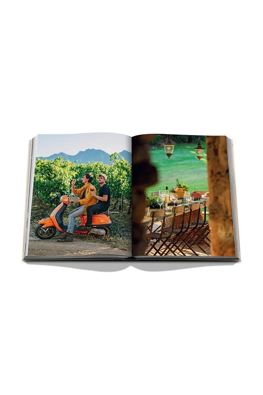 Assouline książka Wine & Travel France by Enrico Bernardo, English 9781649803849