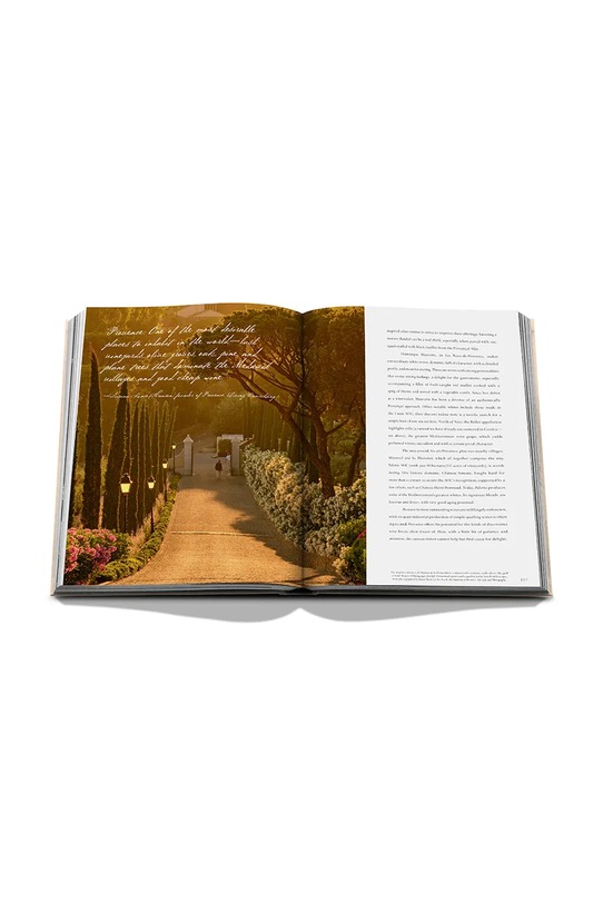 Assouline książka Wine & Travel France by Enrico Bernardo, English 9781649803849