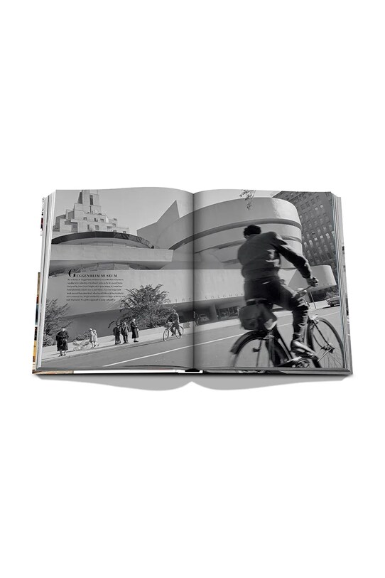 Kniha Assouline 5th Avenue-200 Years of Stories & Legends by Jay McInerney, Julie Satow, English 9781649803993