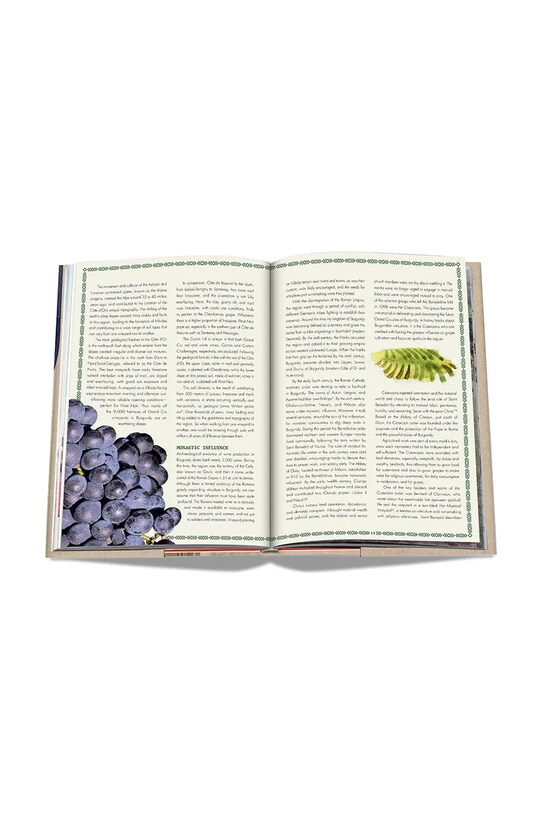 Assouline książka The 100 Burgundy: Exceptional Wines by Jeannie Cho Lee multicolor 9781614288084