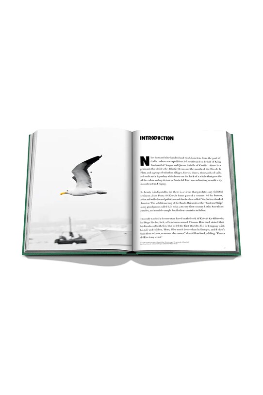 Assouline Punta Del Este by Bony Bullrich, engleză multicolor 9781649801845