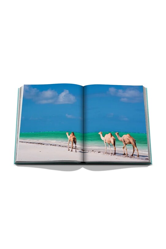 Assouline Arabia Saudită: Marea Roșie, Coasta Saudită de Christopher Smit, engleză turcoaz 9781649800848
