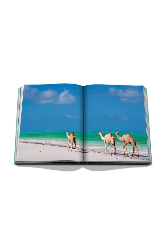 Knjiga Assouline Saudi Arabia: Red Sea, the Saudi Coast by Christopher Smit, English tirkizna 9781649800848