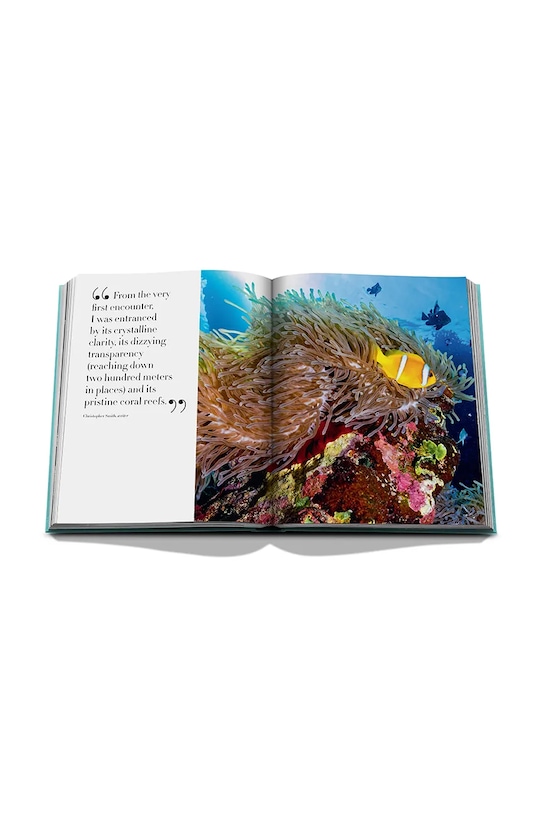Knjiga Assouline Saudi Arabia: Red Sea, the Saudi Coast by Christopher Smit, English 9781649800848