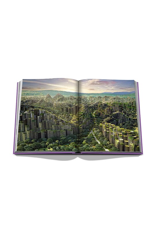 Assouline książka Metaverse Dream by Paul Dawalibi, Gregory Landegger, English 9781649801852