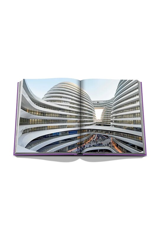 Assouline książka Metaverse Dream by Paul Dawalibi, Gregory Landegger, English 9781649801852