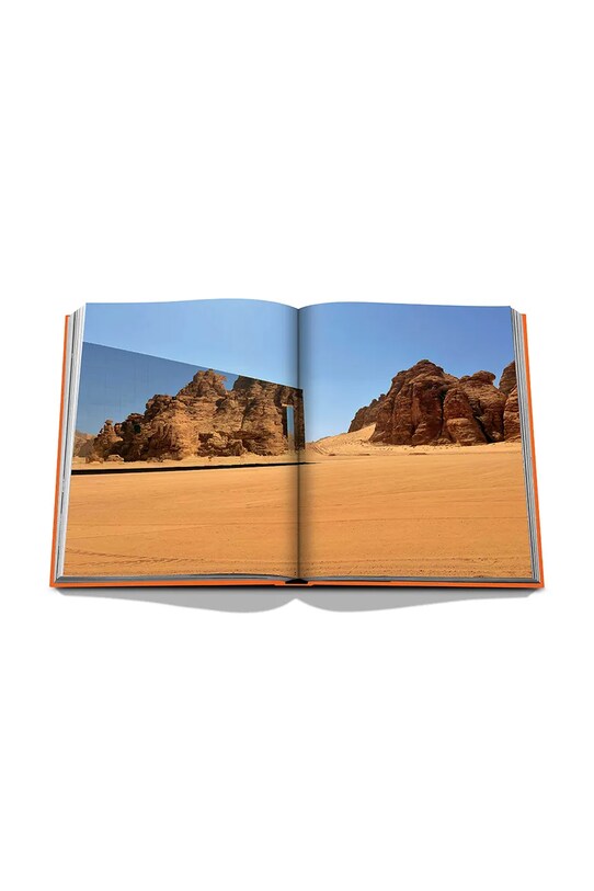 Assouline książka Alula Ever by Jerome Garcin, English multicolor 9781649801562