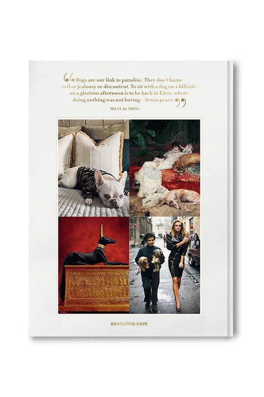 Лайфстайл Книга Assouline Chic Dogs by Robert Williams, English 9781649804419 барвистий