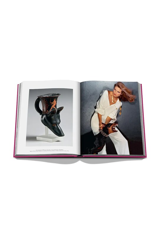 Книга Assouline Chic Dogs by Robert Williams, English барвистий 9781649804419