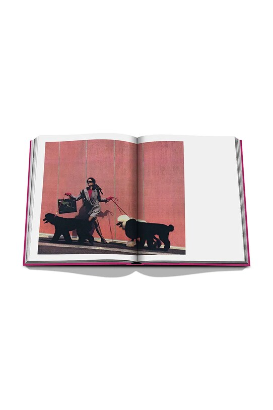 Книга Assouline Chic Dogs by Robert Williams, English 9781649804419