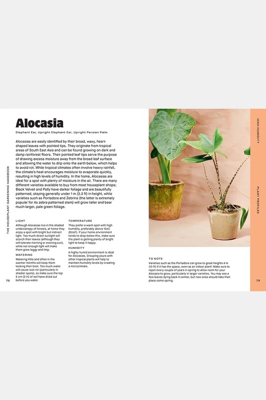Lifestyle home & lifestyle książka Houseplant Handbook by Maddie and Alice Bailey, English HG1271 turkusowy