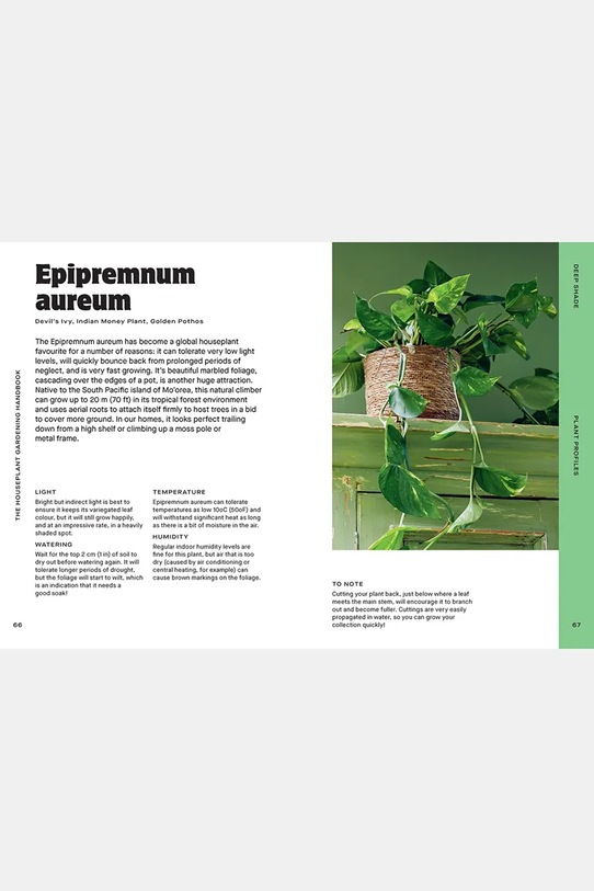 home & lifestyle książka Houseplant Handbook by Maddie and Alice Bailey, English turkusowy HG1271