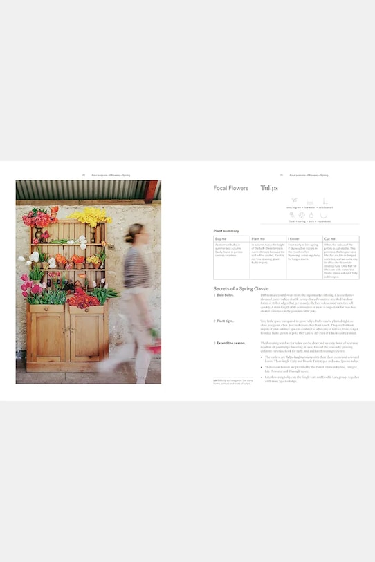 Lifestyle Knjiga home & lifestyle Secrets from the Flower Farm, English TH1769 šarena