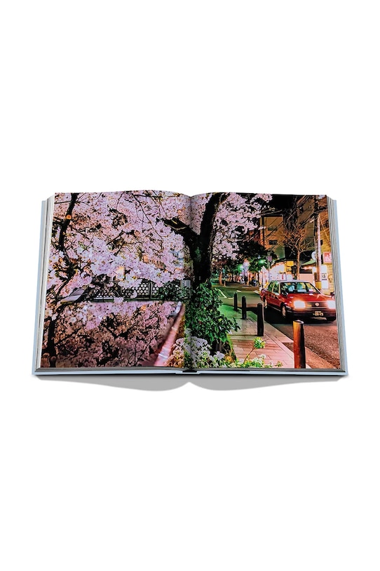 Книга Assouline Kyoto Serenity by François Simon, English барвистий 9781649803528
