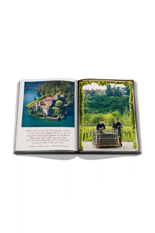 Kniha Assouline Wine & Travel Italy by Enrico Bernardo, English 9781649804181