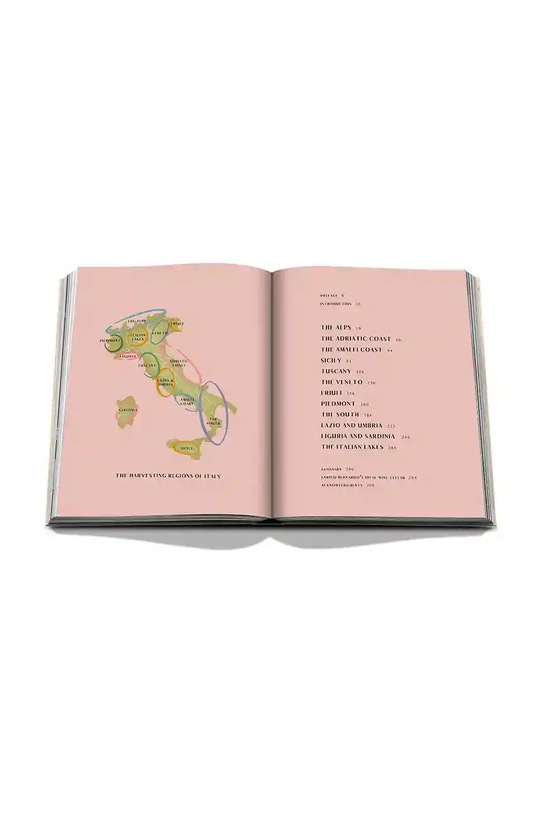 Kniha Assouline Wine & Travel Italy by Enrico Bernardo, English viacfarebná 9781649804181