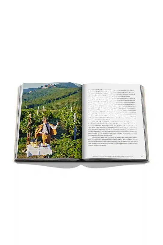 Kniha Assouline Wine & Travel Italy by Enrico Bernardo, English 9781649804181