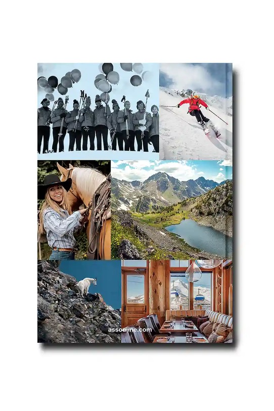 Lifestyle Βιβλίο Assouline Big Sky by Barbara Rowley, English 9781649802590 πολύχρωμο