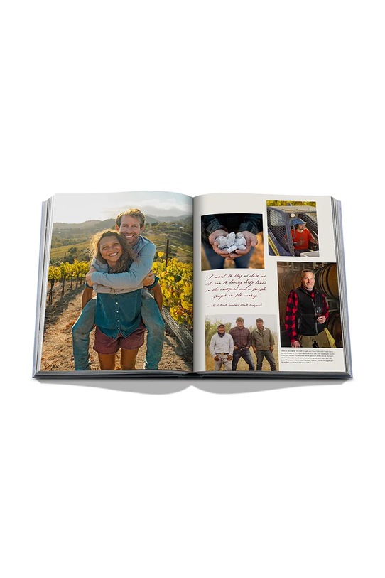 Kniha Assouline Wine & Travel USA, Enrico Bernardo, English 9781649804365 vícebarevná
