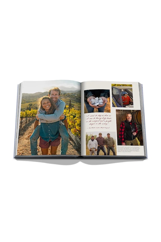 Assouline książka Wine & Travel USA, Enrico Bernardo, English 9781649804365 multicolor