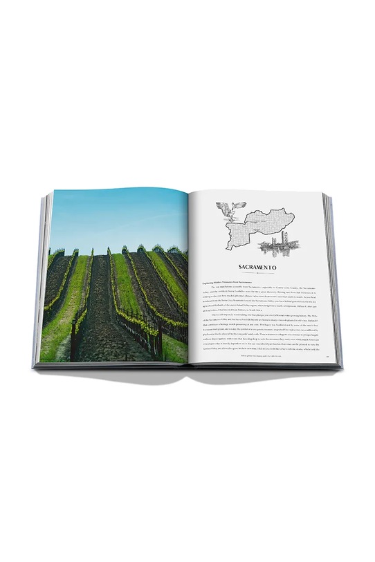 Kniha Assouline Wine & Travel USA, Enrico Bernardo, English 9781649804365