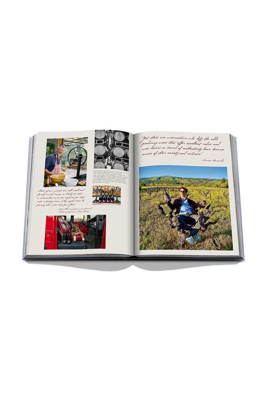 Kniha Assouline Wine & Travel USA, Enrico Bernardo, English 9781649804365