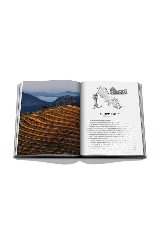 Assouline książka Wine & Travel USA, Enrico Bernardo, English 9781649804365