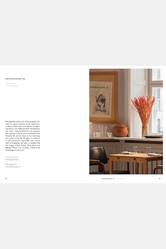 Lifestyle home & lifestyle książka Cereal City Guide: Copenhagen by Rosa Park, English CE1015 multicolor