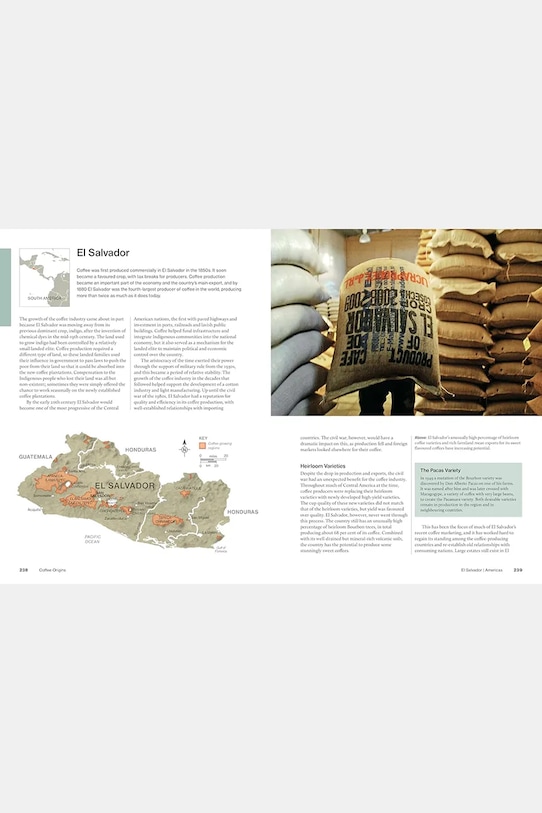 home & lifestyle książka The World Atlas of Coffee, English OC1053 multicolor AA00