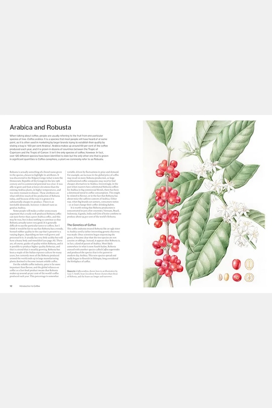 home & lifestyle książka The World Atlas of Coffee, English OC1053