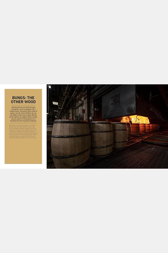 home & lifestyle książka American Whiskey Master Class by Lew Bryson, English QU1259 multicolor AA00